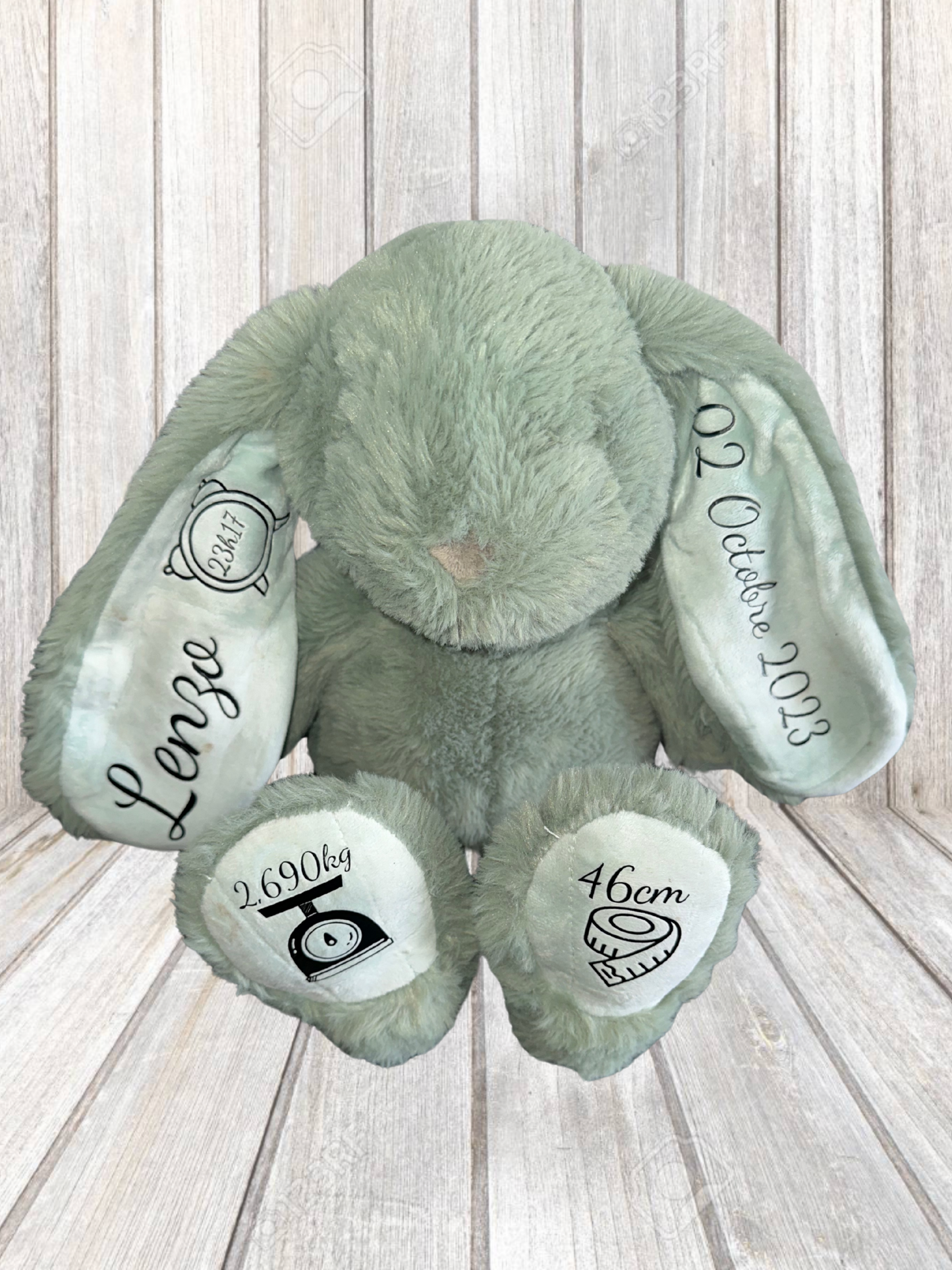 Nounours